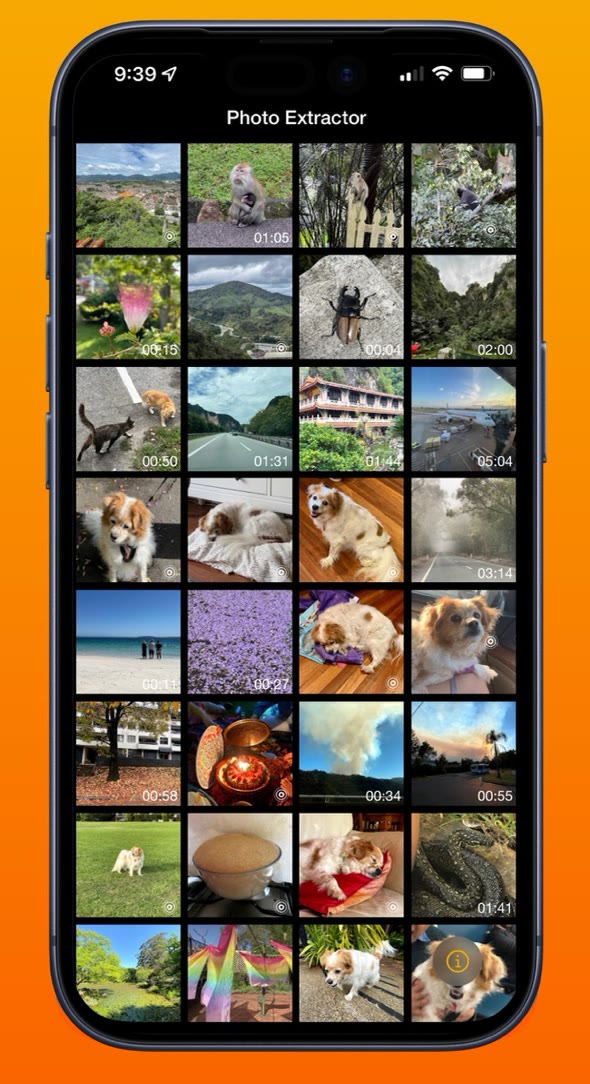 Photo Extractor on iPhone, choosing a Live Photo or video from the photo library